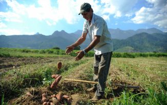 Com 60% das aposentadorias negadas, agricultores se queixam de novas regras